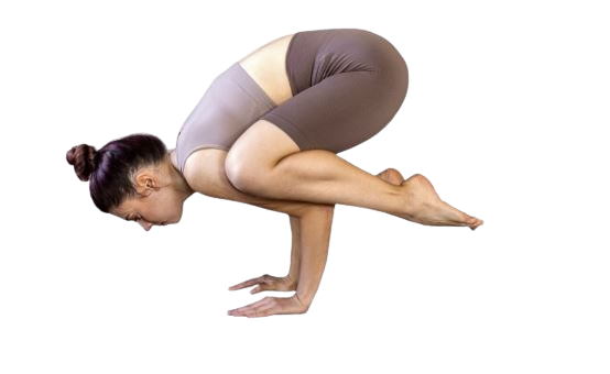 Rishikul Yogshala Online