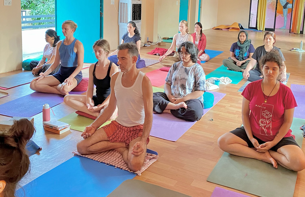 Rishikul Yogshala Online