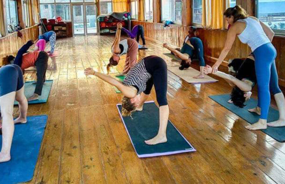 Rishikul Yogshala Online