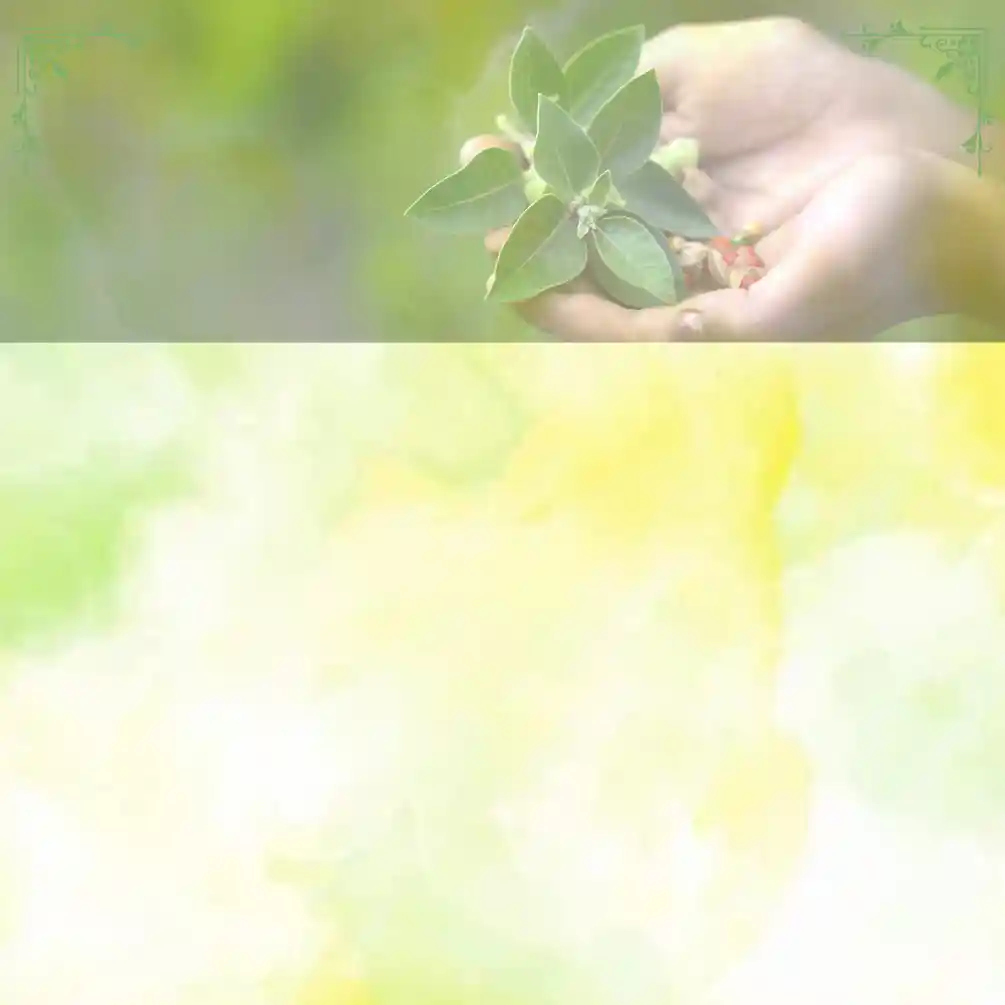 rishikul online blog Ayurveda