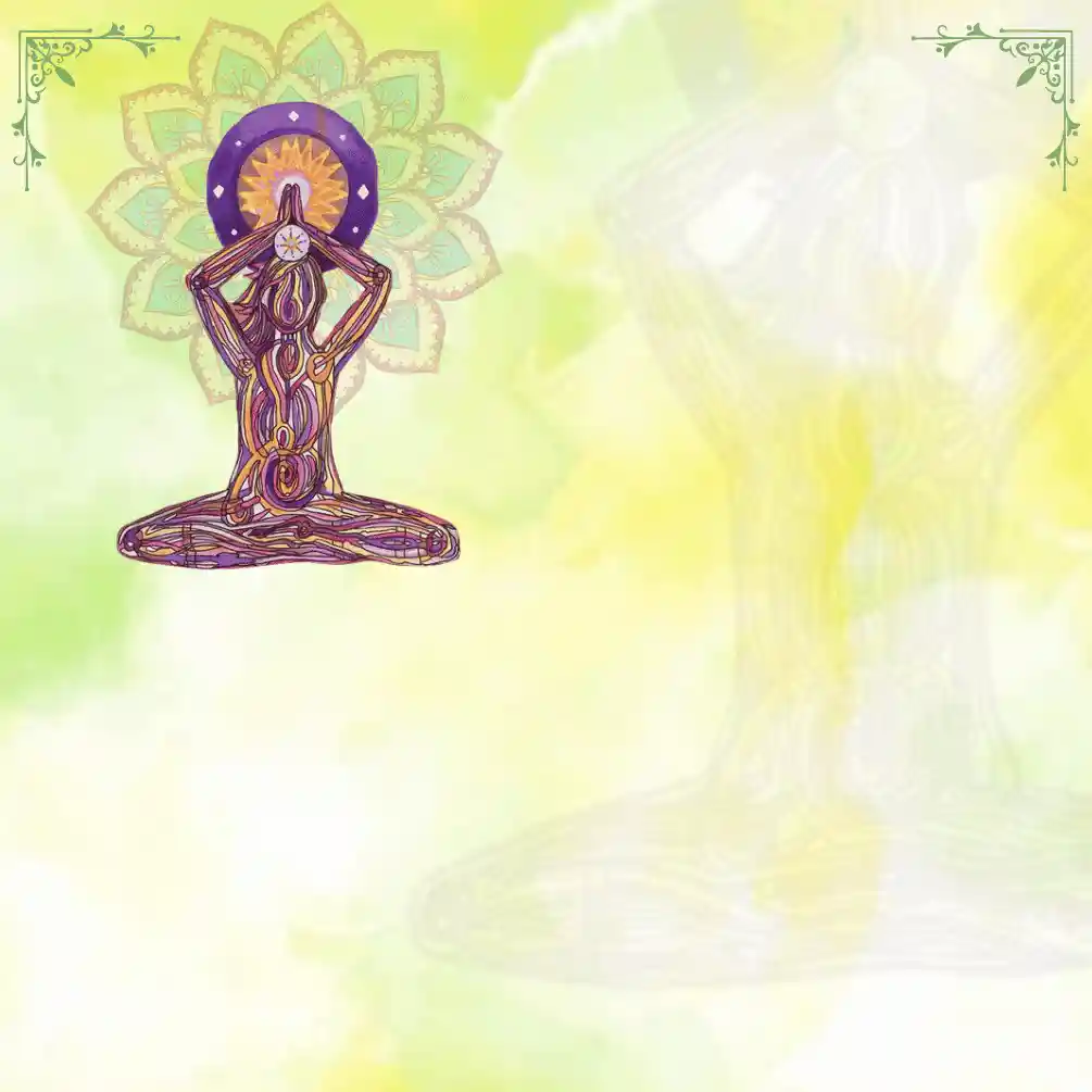 anatomy rishikul yogshla online