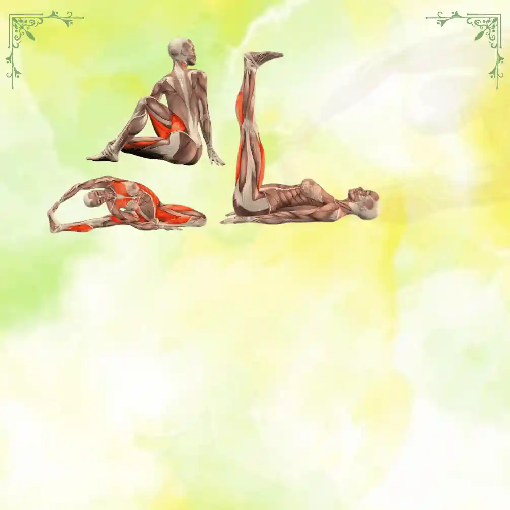 anatomy rishikul yogshla online