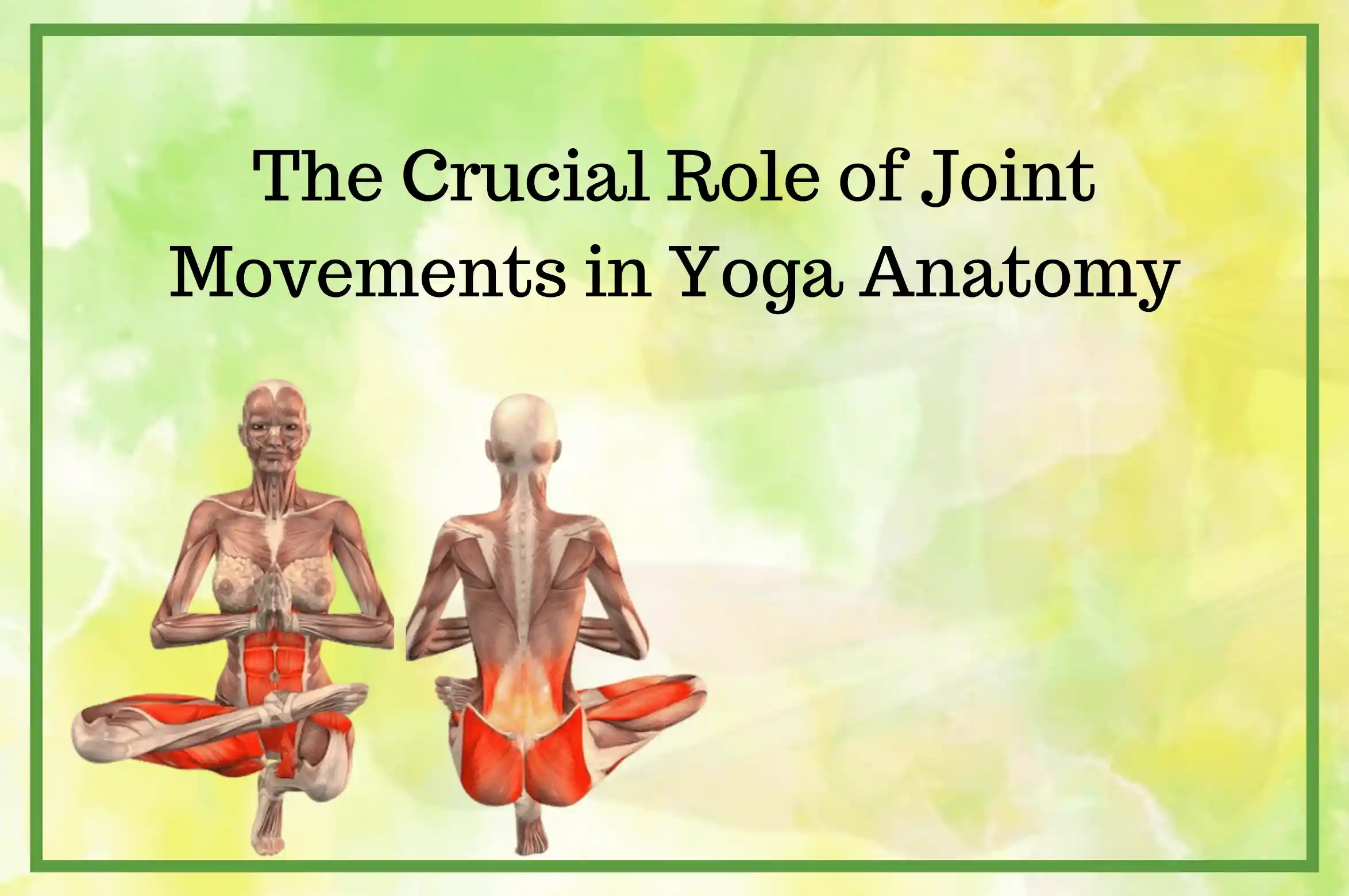 anatomy rishikul yogshla online
