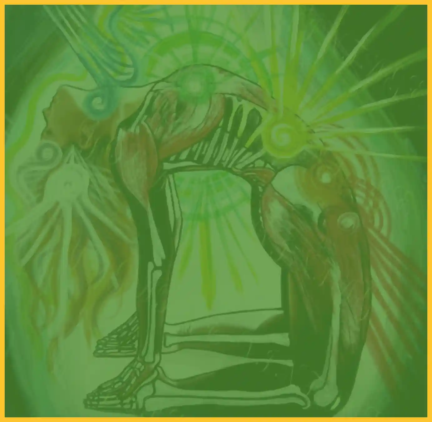 anatomy rishikul yogshla online