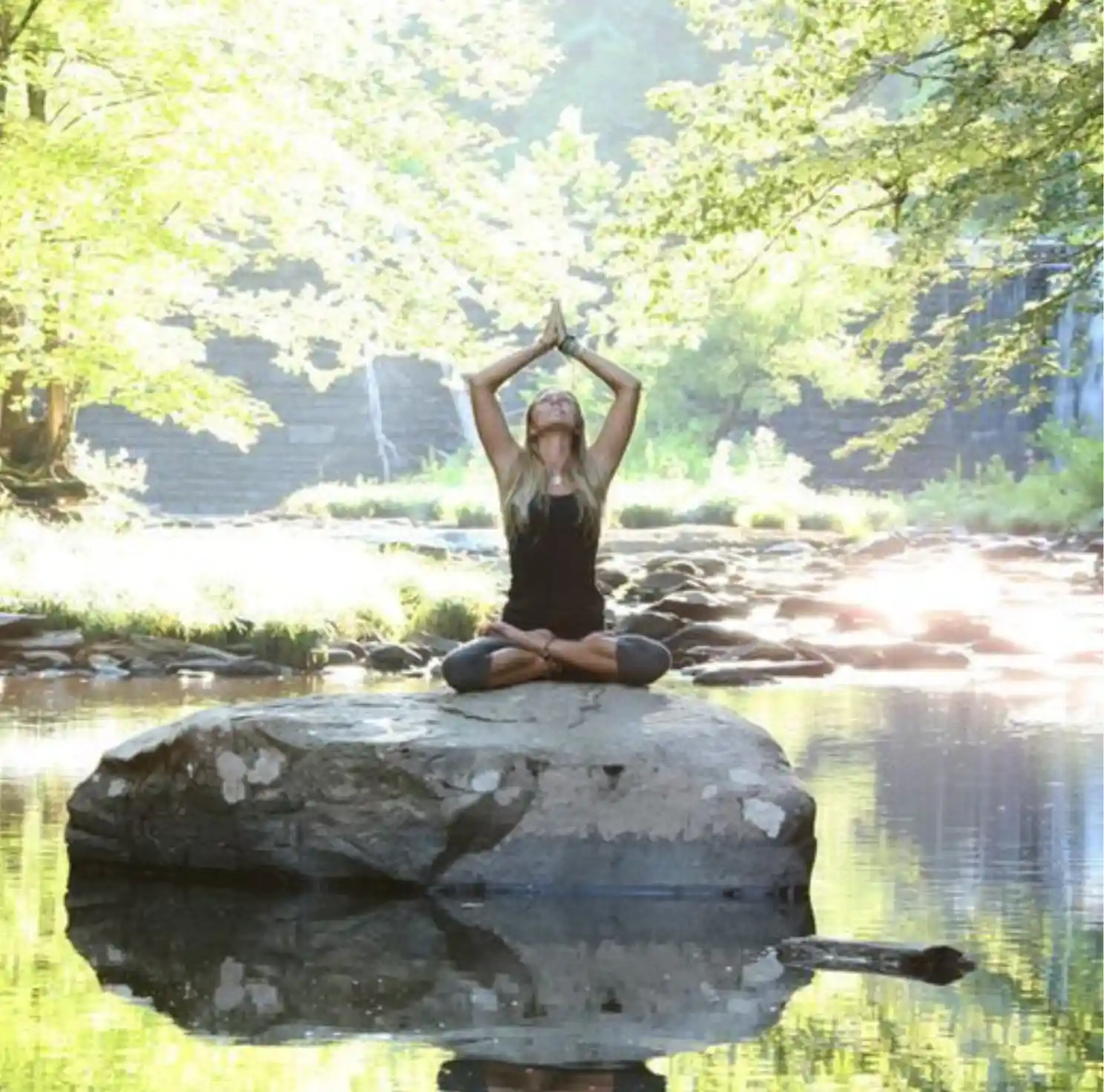Rishikul Yogshala online Asana Blogs
