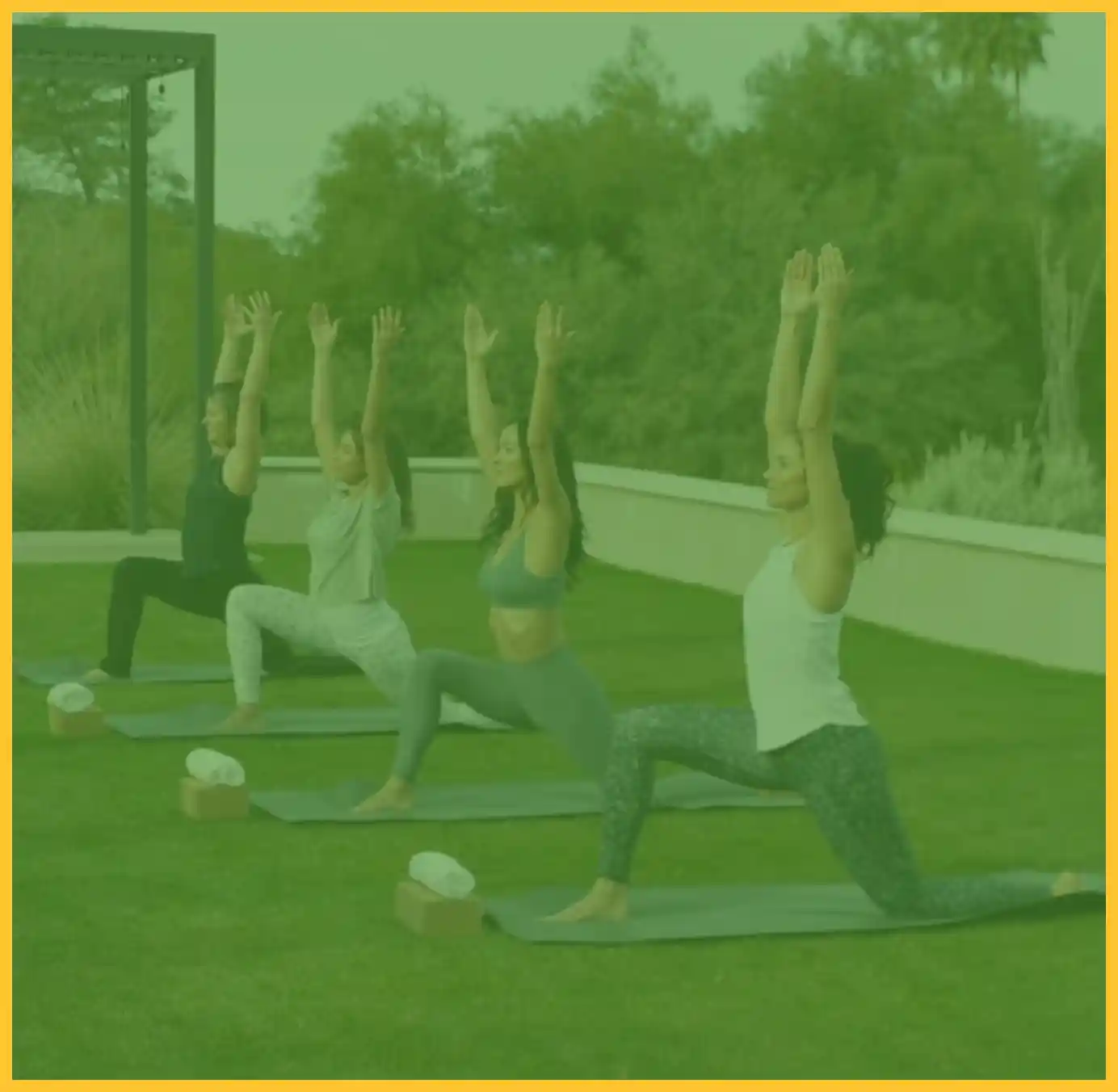 Rishikul Yogshala Online Online Yoga Blog