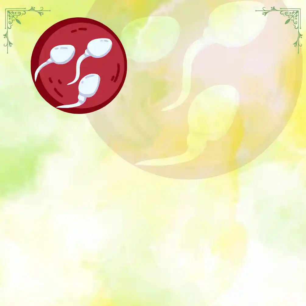 Rishikul Yogshala Philosophy Blogs